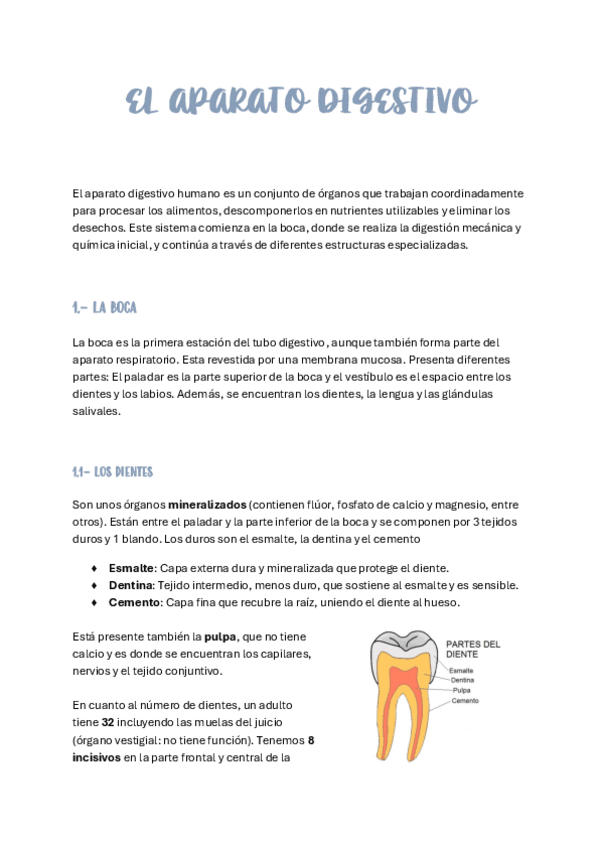 Miniatura del documento EL-APARATO-DIGESTIVO.pdf