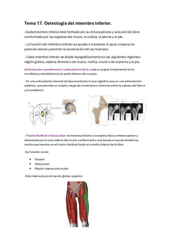 Miniatura del documento parcial-2-anatomia.pdf