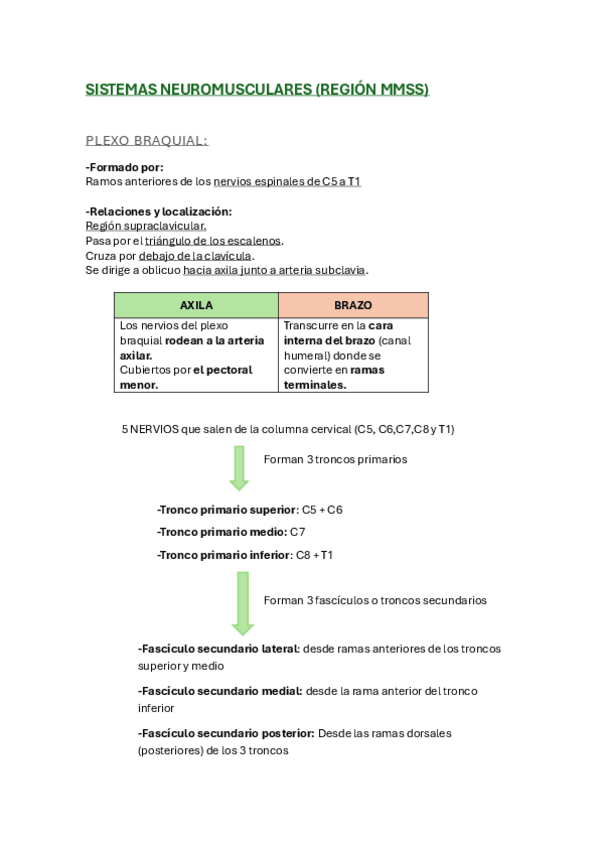 Miniatura del documento sistema-neuromusculares-region-MMSS-resumen.pdf