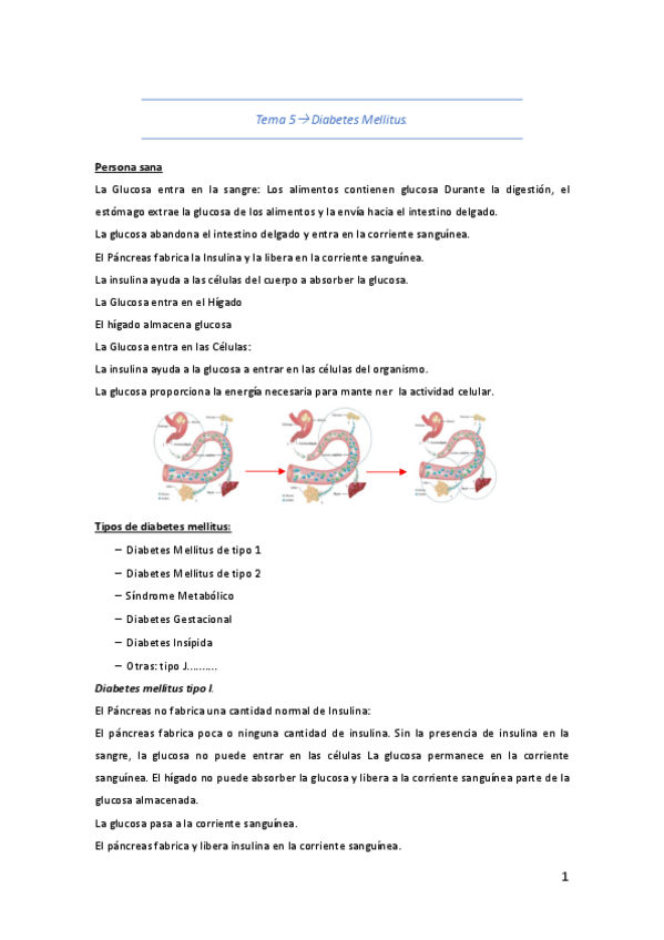 Miniatura del documento bloque II tema 5 3 Diabetes Mellitus.pdf