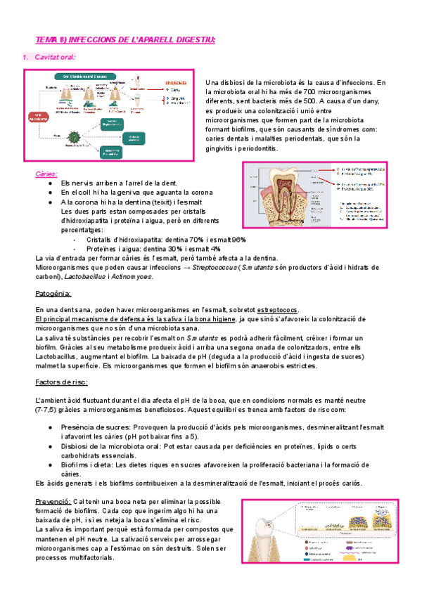 Miniatura del documento TEMA-8-INFECCIONS-DE-LAPARELL-DIGESTIU.pdf