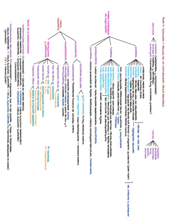 Miniatura del documento Esquema Tema 9. Dominios y reinos de la naturaleza. Reino Bacteria.pdf