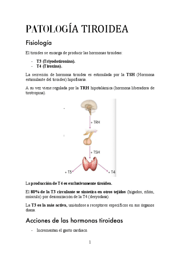 Miniatura del documento PATOLOGIA-TIROIDEA.pdf