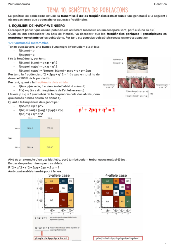 Miniatura del documento T10-Genetica-de-poblacions.pdf