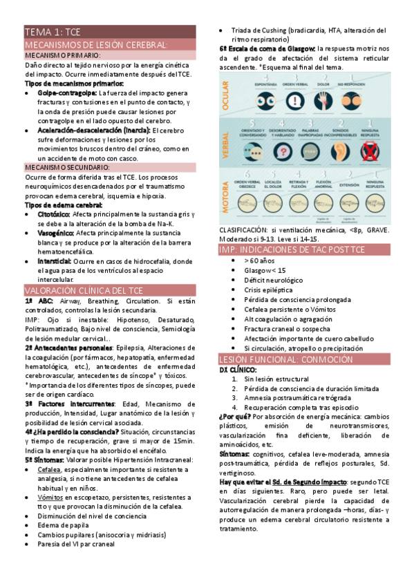 Miniatura del documento TEMA-1-TCE--SEMINARIO-1.pdf