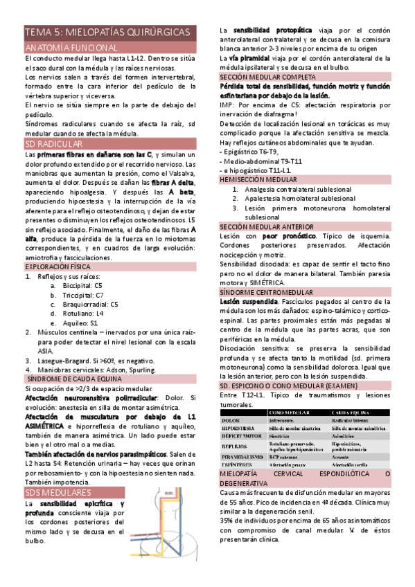Miniatura del documento TEMA-5-MEDULA.pdf