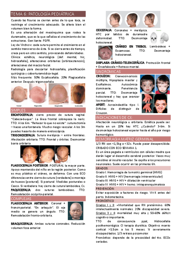 Miniatura del documento TEMA-6-PEDIATRIA.pdf