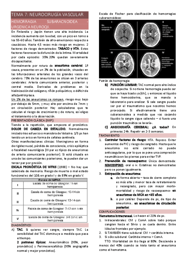 Miniatura del documento TEMA-7-NEUROCIRUGIA-VASCULAR.pdf