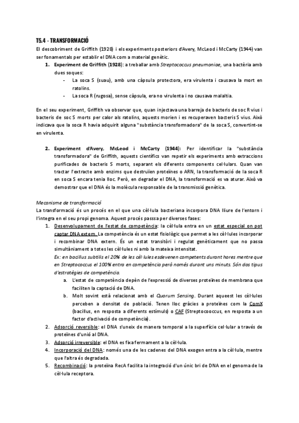 Miniatura del documento T5.4-Transformacio.pdf