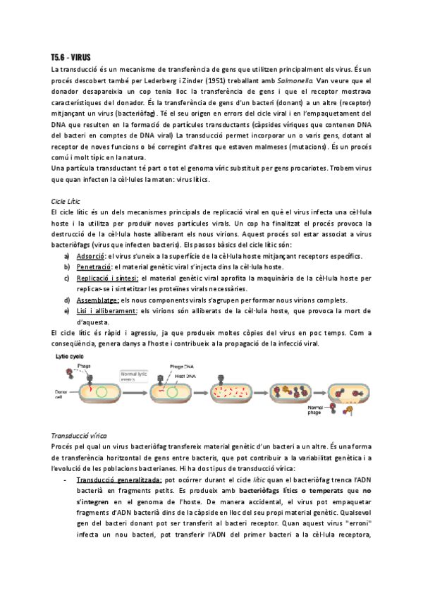 Miniatura del documento T5.6-Virus.pdf