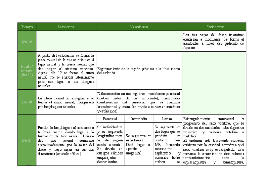 Miniatura del documento Desarrollo-ectodermo-mesodermo-y-endodermo.pdf