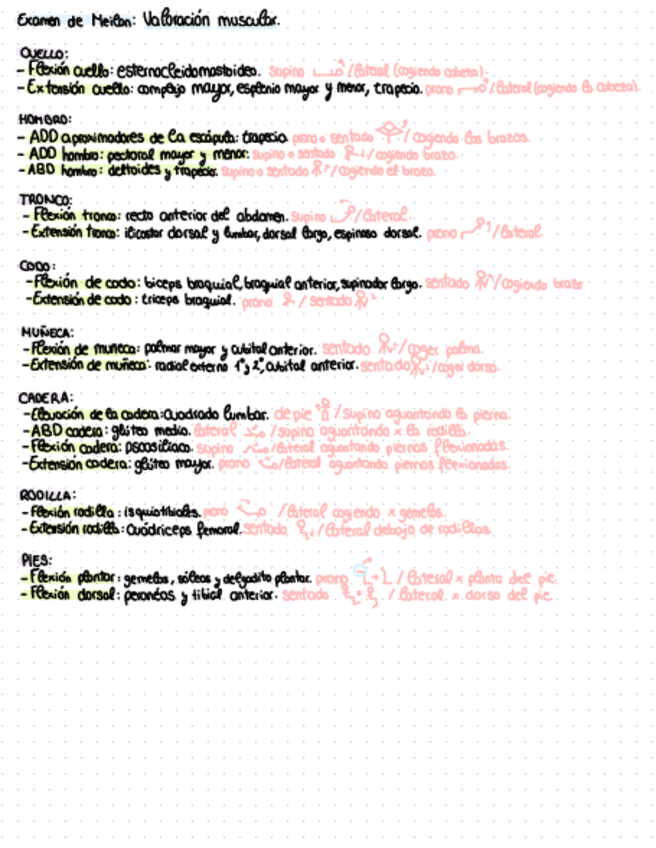 Miniatura del documento Anatomia.pdf