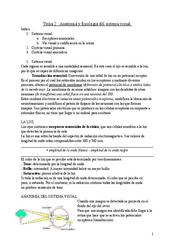Miniatura del documento Tema-2-fisiologia-he-aprobado.pdf