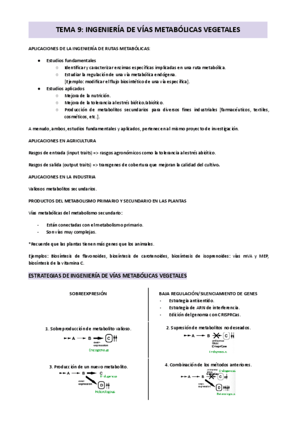 Miniatura del documento TEMA-9-INGENIERIA-DE-VIAS-METABOLICAS-VEGETALES.pdf