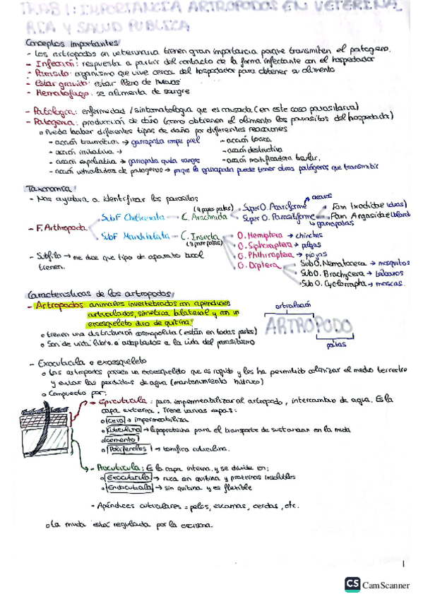 Miniatura del documento TRABS-PARASITO.pdf