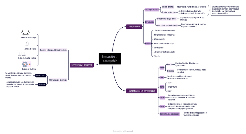Miniatura del documento MAPAS-CONCEPTUALES-PERCEPCION-Y-ATENCION.pdf