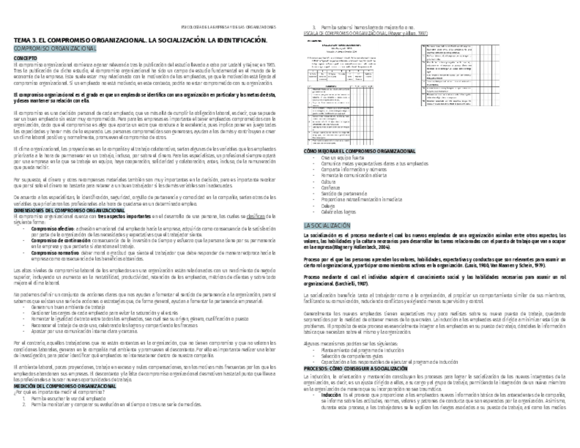Miniatura del documento PSICO-EMPRESA-TEMA-3.pdf