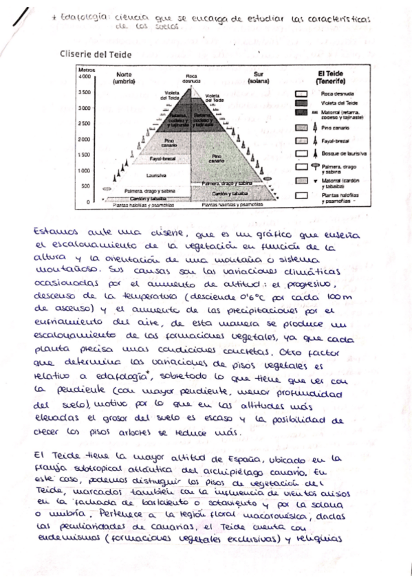 Miniatura del documento Cliserie-del-Teide.pdf