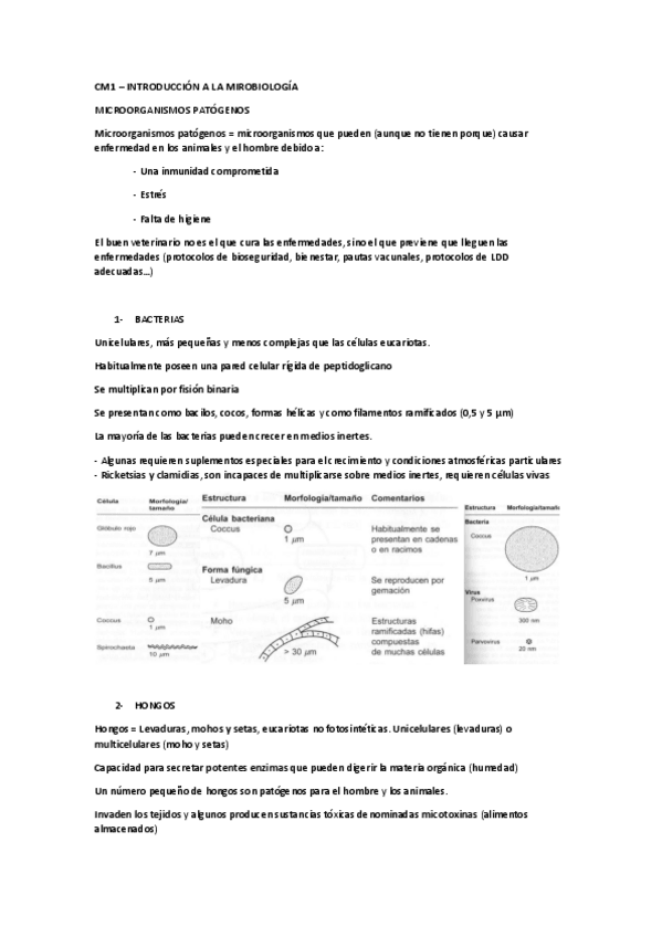 Miniatura del documento Microbiologia-1-11.pdf