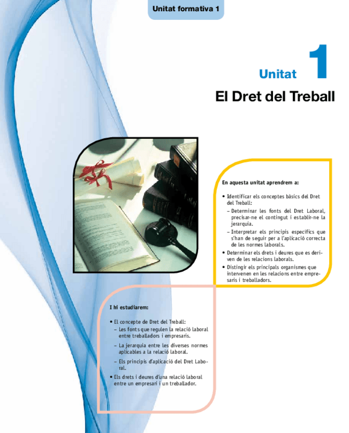 Miniatura del documento DRET DEL TREBALL.pdf
