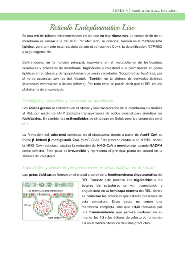 Miniatura del documento Tema-6-REL.pdf