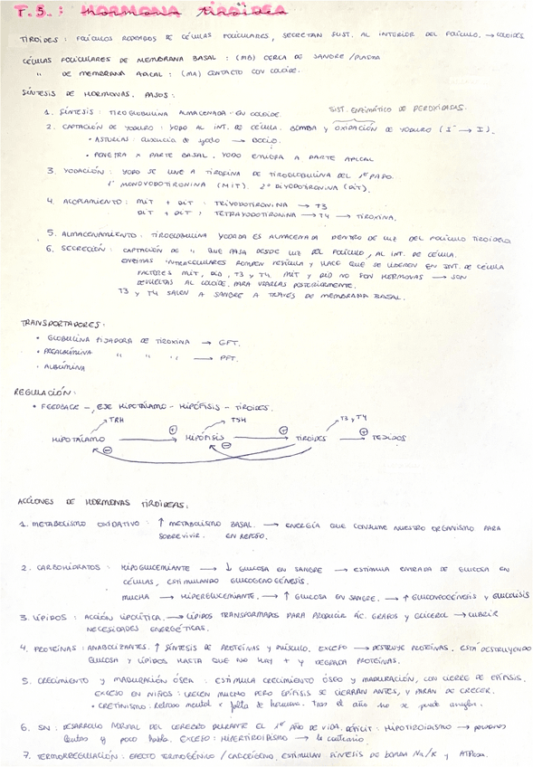 Miniatura del documento Hormona-tiroidea.pdf
