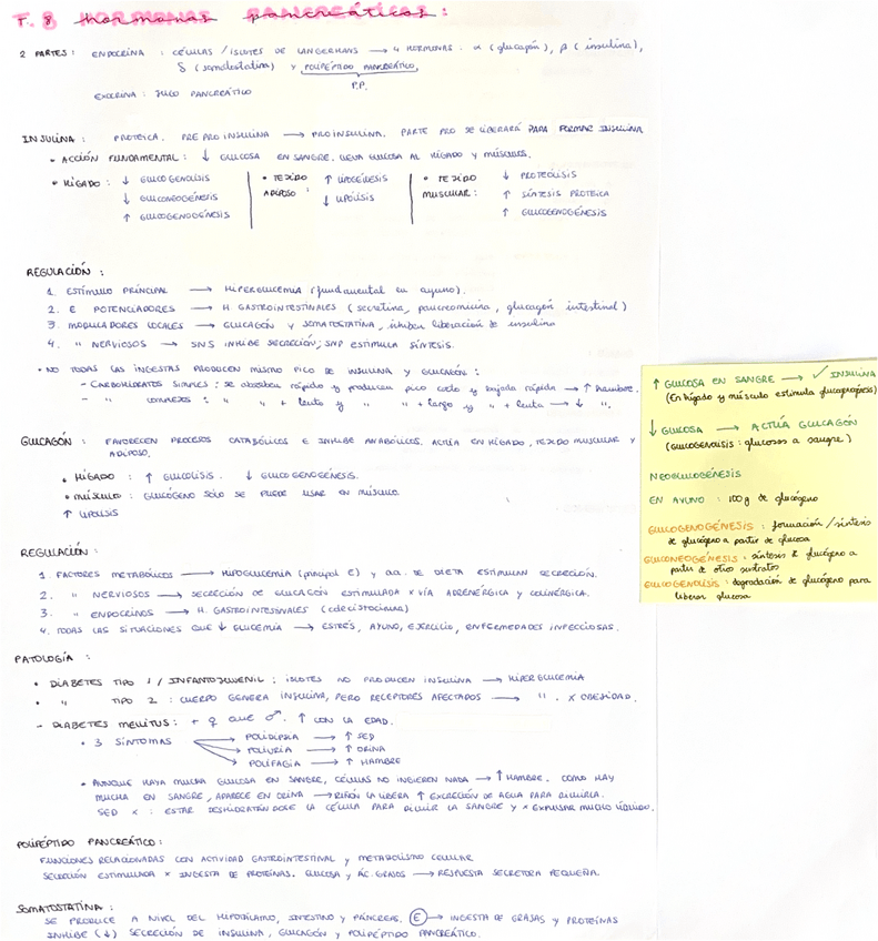 Miniatura del documento Hormonas-pancreaticas.pdf