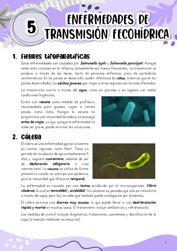 Miniatura del documento Tema-5.-Enfermedades-de-transmision-fecohidrica.pdf