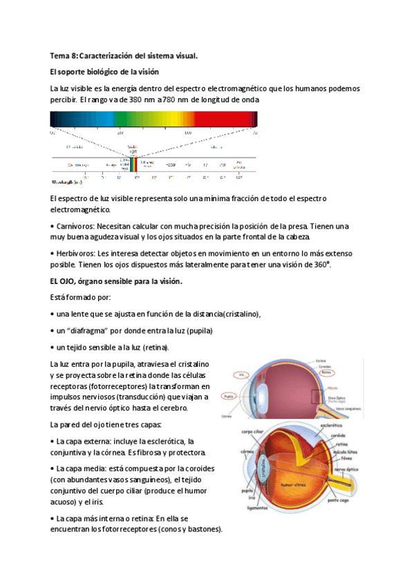 Miniatura del documento Tema-8.pdf