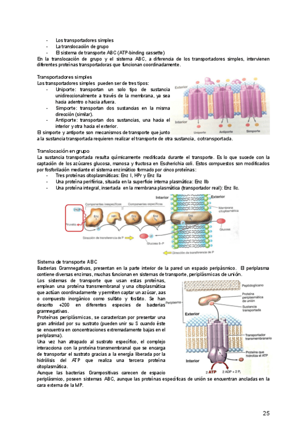 Miniatura del documento T-4-5.pdf