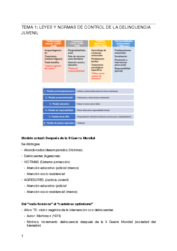 Miniatura del documento DELINCUENCIA-JUVENIL-TOT-EL-CURS.pdf