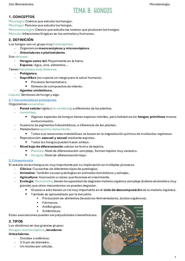 Miniatura del documento T8.-Hongos.pdf