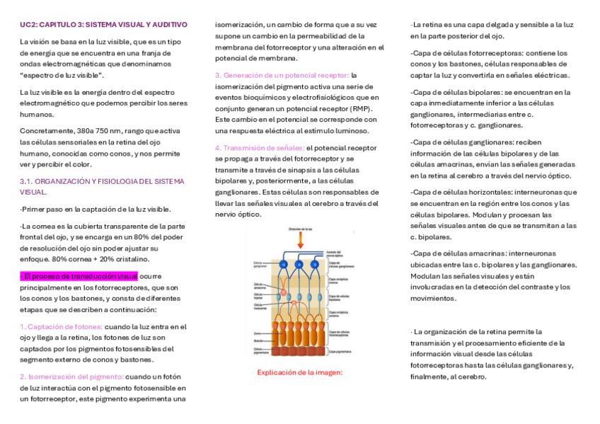 Miniatura del documento UC2-CAPITULO-3-SISTEMA-VISUAL-Y-AUDITIVO.pdf
