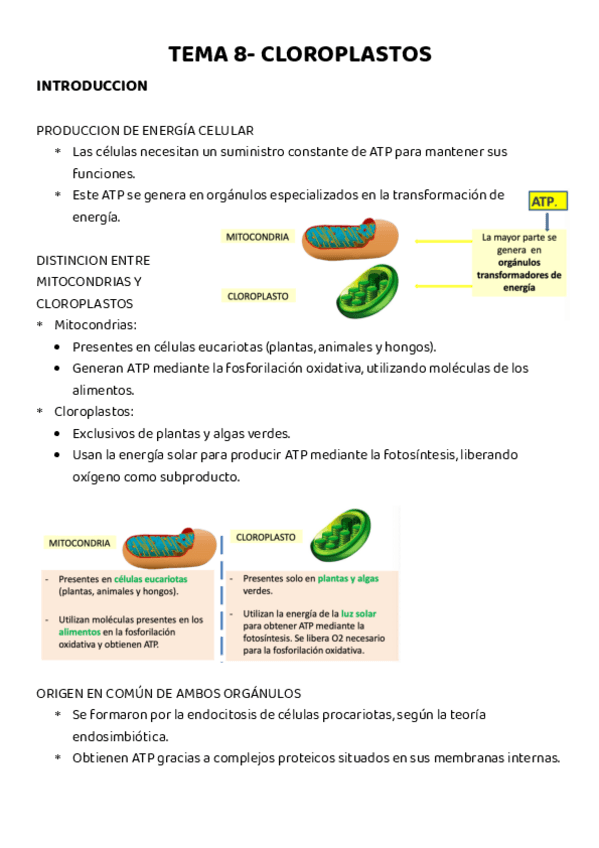 Miniatura del documento TEMA-8-CLOROPLASTOS.pdf