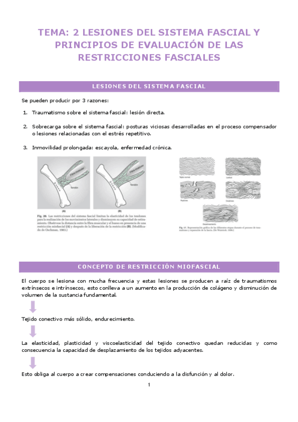 Miniatura del documento TEMA2-LESIONES-DEL-SISTEMA-FASCIAL-Y-PRINCIPIOS-DE-EVALUACION-DE-LAS-RESTRICCIONES-FASCIALES.pdf