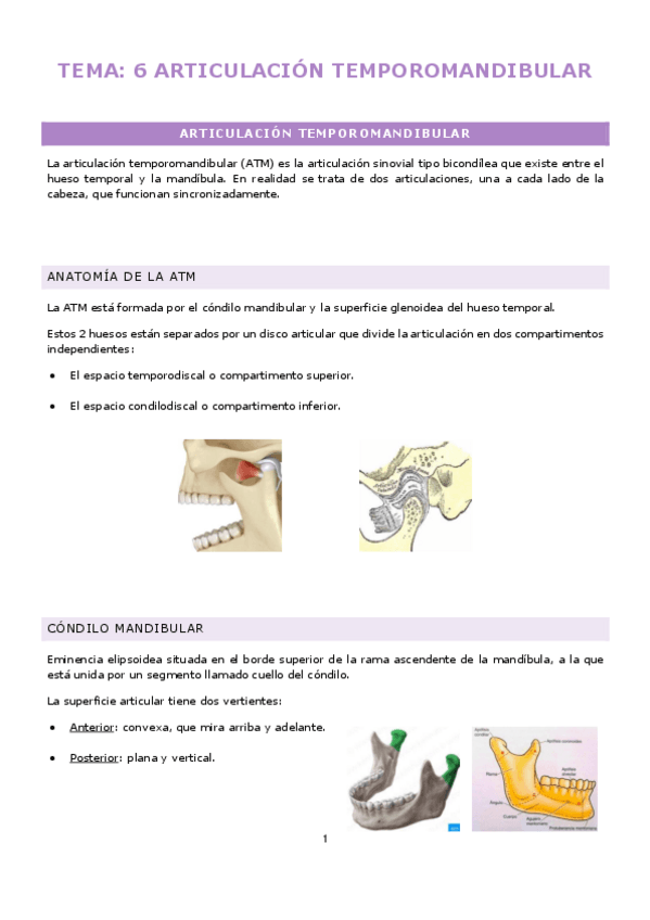 Miniatura del documento TEMA6-ARTICULACION-TEMPOROMANDIBULAR.pdf
