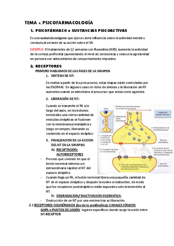 Miniatura del documento TEMA-4-PSICOFARMACOLOGIA.pdf