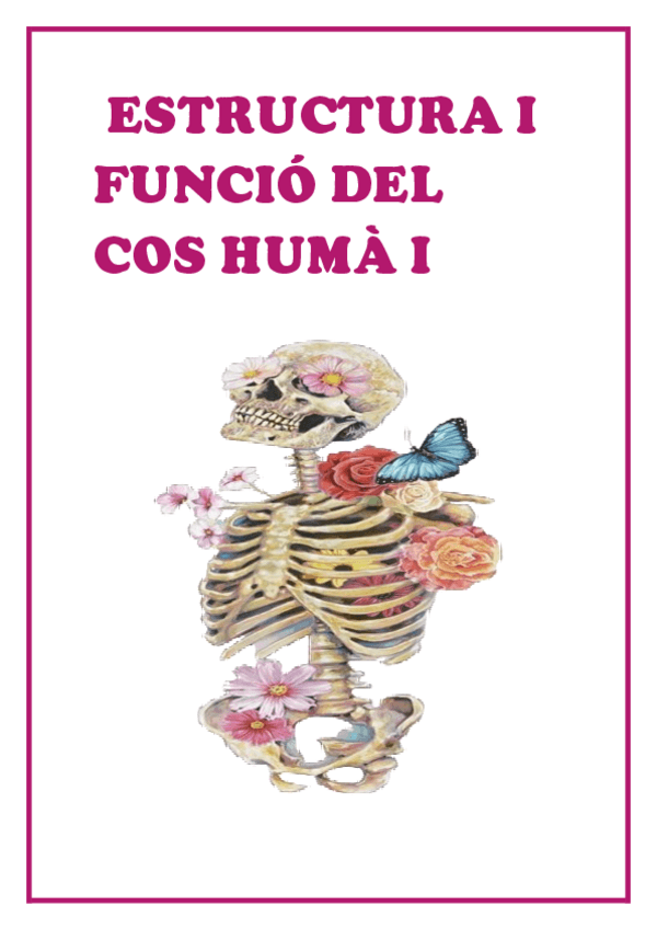Miniatura del documento 1R-TEMA-Introduccio-al-cos-huma.pdf