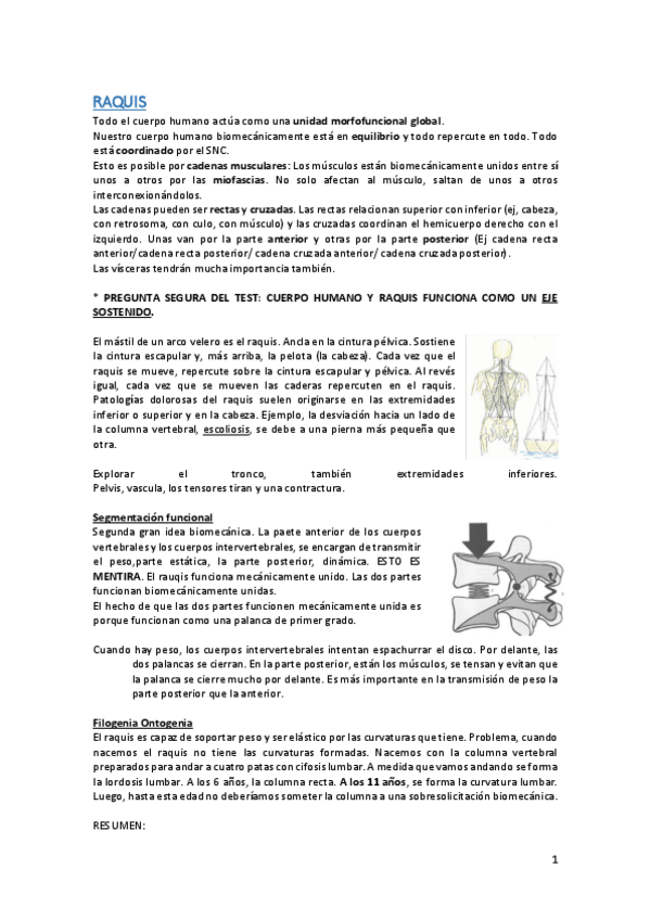 Miniatura del documento Apuntes-biomecanica.pdf