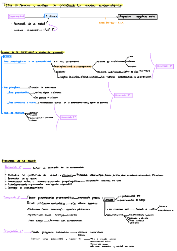 Miniatura del documento Esquemas-Temas-2o-Parcial-11-25-Y-27.pdf
