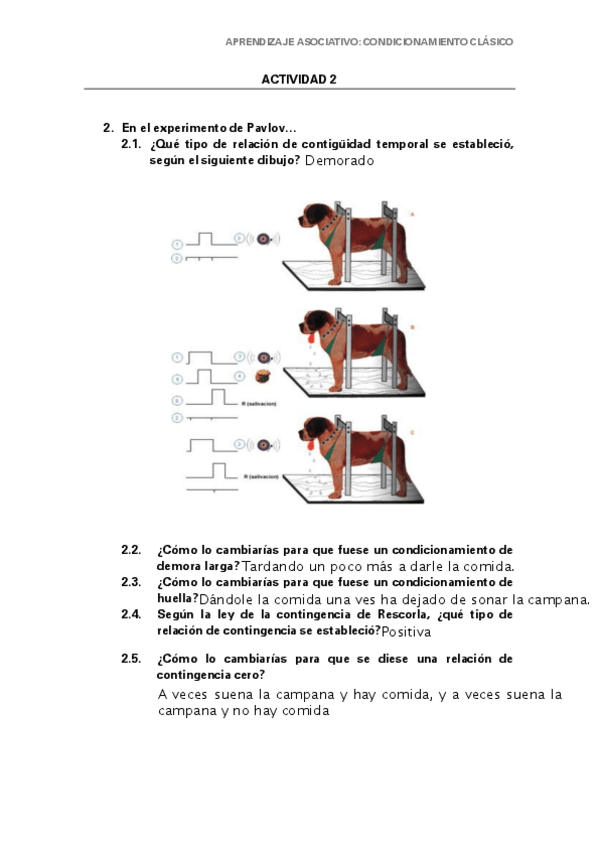 Miniatura del documento CCactividadesA2-copia.pdf