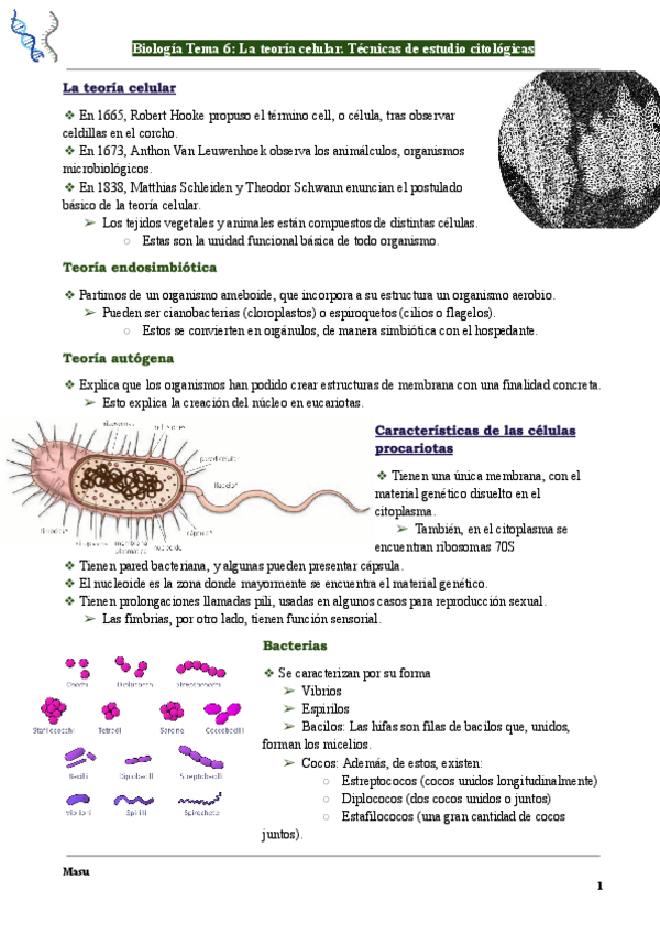 Miniatura del documento Biologia-Tema-6-La-teoria-celular.-Tecnicas-de-estudio-citologicas..pdf
