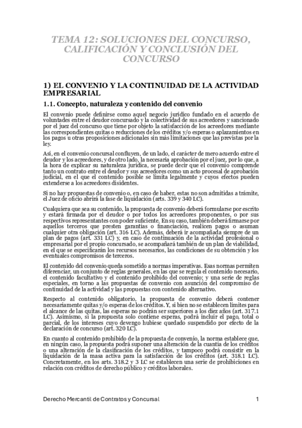 Miniatura del documento Tema-12.-Soluciones-del-concurso-calificacion-y-conclusion-del-concurso.pdf