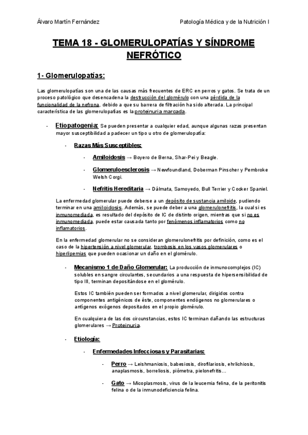Miniatura del documento TEMA-18-GLOMERULOPATIAS-Y-SINDROME-NEFROTICO.pdf