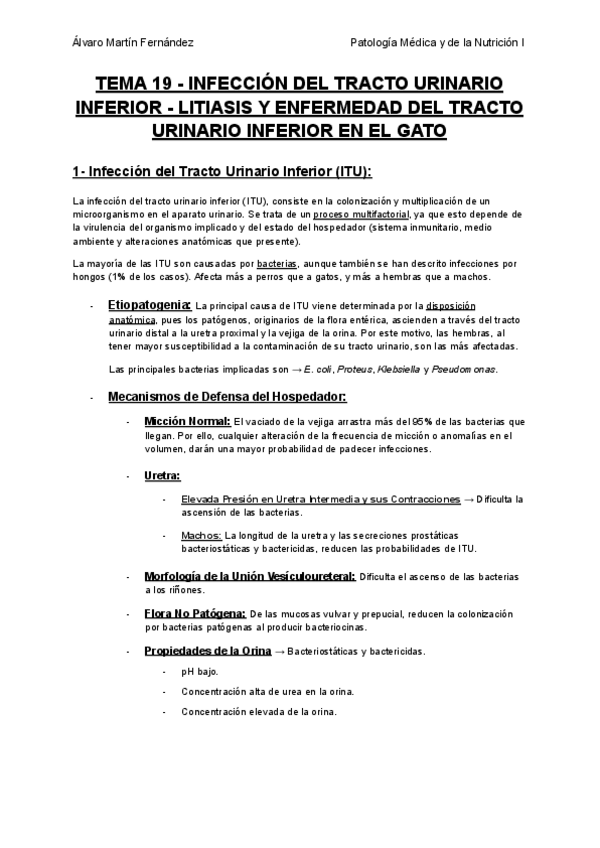 Miniatura del documento TEMA-19-INFECCION-DEL-TRACTO-URINARIO-INFERIOR-LITIASIS-Y-ENFERMEDAD-DEL-TRACTO-URINARIO-INFERIOR-EN-EL-GATO.pdf
