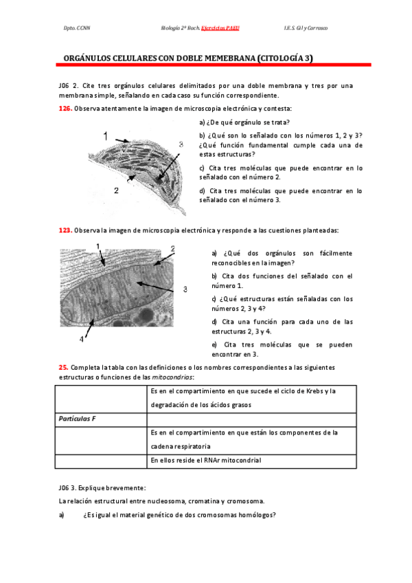 Miniatura del documento Tema-11B.-Organulos-doble-membrana-PAEU.pdf