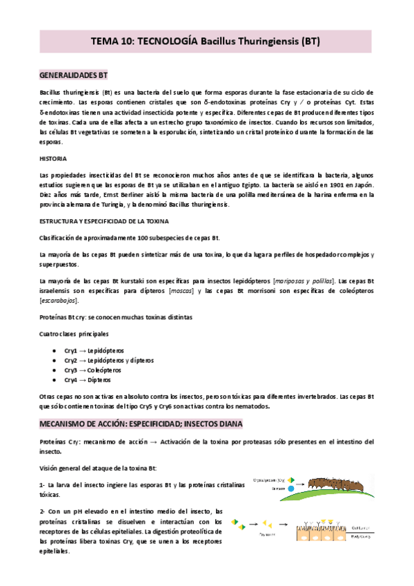 Miniatura del documento TEMA-10-TECNOLOGIA-Bacillus-Thuringiensis-BT.pdf