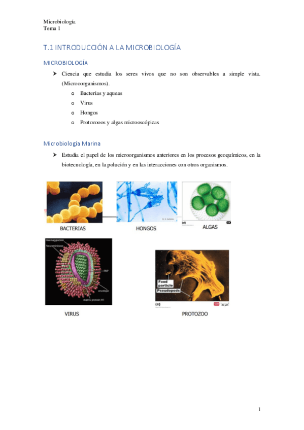 Miniatura del documento T.1-Introduccion-a-la-Microbiologia.pdf