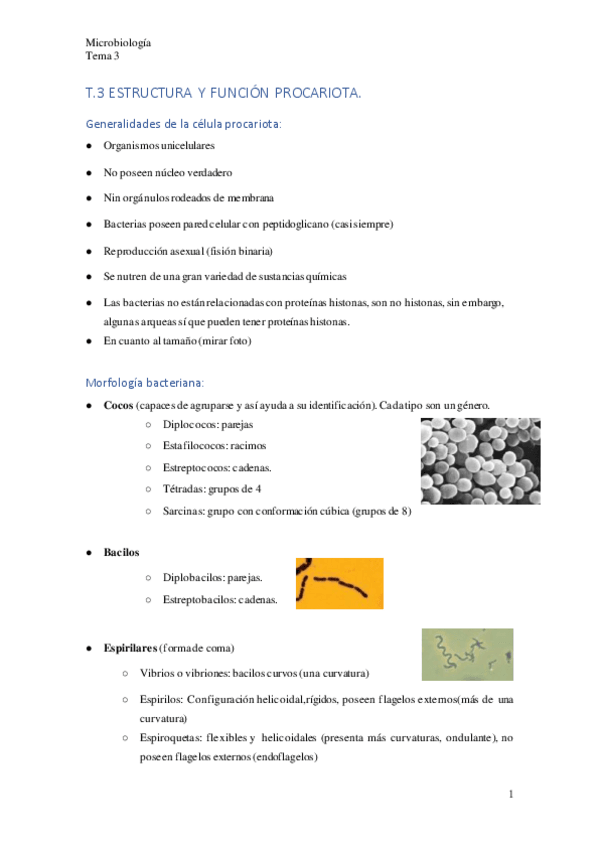 Miniatura del documento T.3.pdf