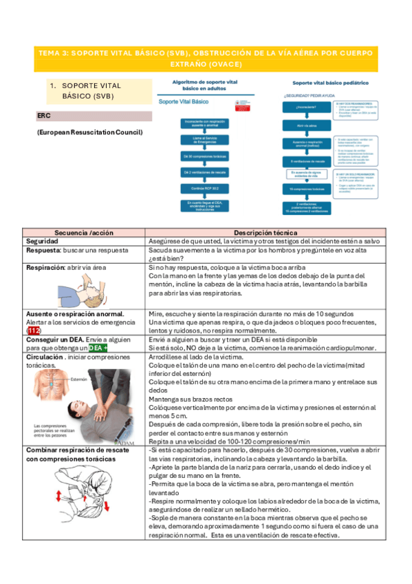 Miniatura del documento Tema-3.pdf